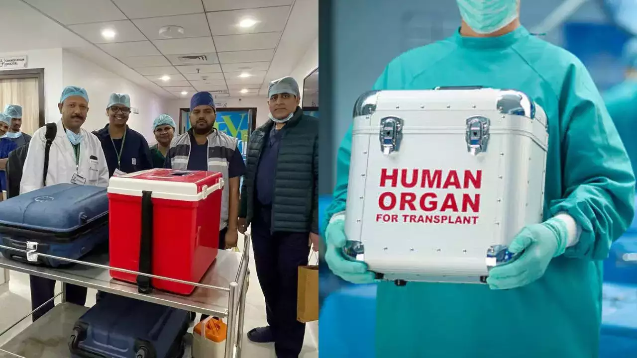 20 Km In 27 Minutes: Live Heart Transported Through Green Corridor In New Delhi