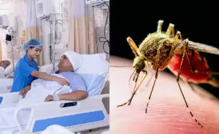 This Mosquito-Borne Disease That Gave Limp To People In India Is Spreading Rapidly In Pakistan; Know All About It