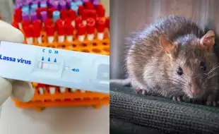 Iowa Resident Dies In A Suspected Case Of Lassa fever -A Frightening, Rare Viral Disease