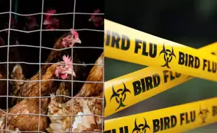 US CDC Confirms Oregon’s First Human Case Of H5N1 Bird Flu