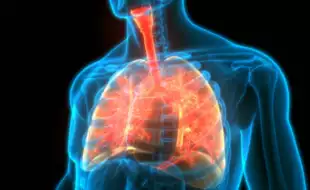 Managing COPD: Make THESE Lifestyle Changes For Better Lung Health