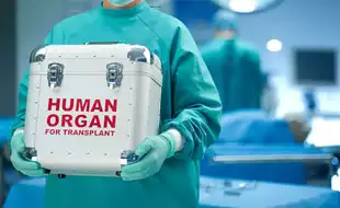 What Organs Can You Donate While Alive? The Answer Might Surprise You!