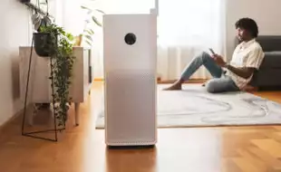 Can Air Purifiers Save You From Dust Allergies? Here's What Experts Say