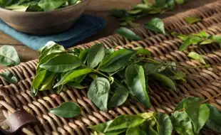 Curry Leaves For Diabetes Management: Check Out How Kadi Patta Regulates Your Blood Sugar Levels