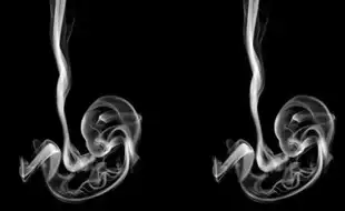 Optical Illusion Personality Test: Smoke Or Fetus? What You See First Reveals If You Are Arrogant Or Humble