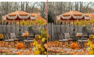 Spot The Difference Challenge: Only Keen Observers Can Spot The 5 Differences In 7 Seconds!