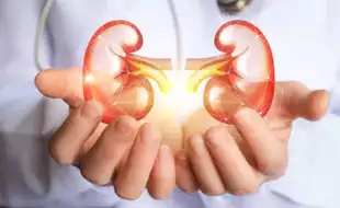 Daily Habits To Keep Your Kidney Health In Check