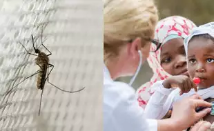 Mysterious Disease in Congo Which Killed 143 People Is Severe Malaria, Say Authorities; Know All About It