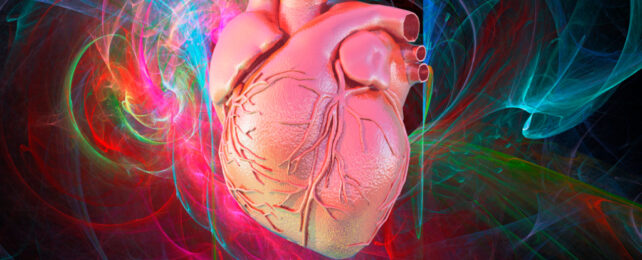 Your Heart Has Its Very Own Brain – And It's Surprisingly Complicated