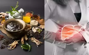 Can Ayurveda Solve Fatty Liver Problems? Expert Answers