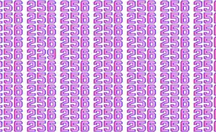 Optical Illusion Test: In A Swarm Of 256, Find The Lone Bee 229