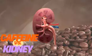 World Kidney Day: Spilling the Beans on Caffeine—Help or Hinder Your Kidneys?